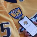 Smart Jerseys with Blockchain Chips: The Next Step in Fan Merch